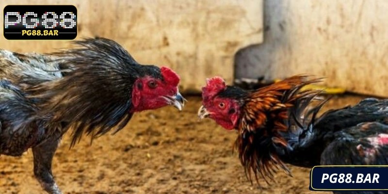 Hệ thống bảo mật với công nghệ mã hóa tiên tiến