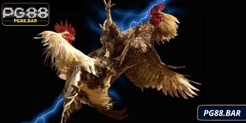 Nắm vững chiến lược để dự đoán kết quả hiệu quả