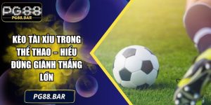Kèo Tài Xỉu Trong Thể Thao – Hiểu Đúng Giành Thắng Lớn